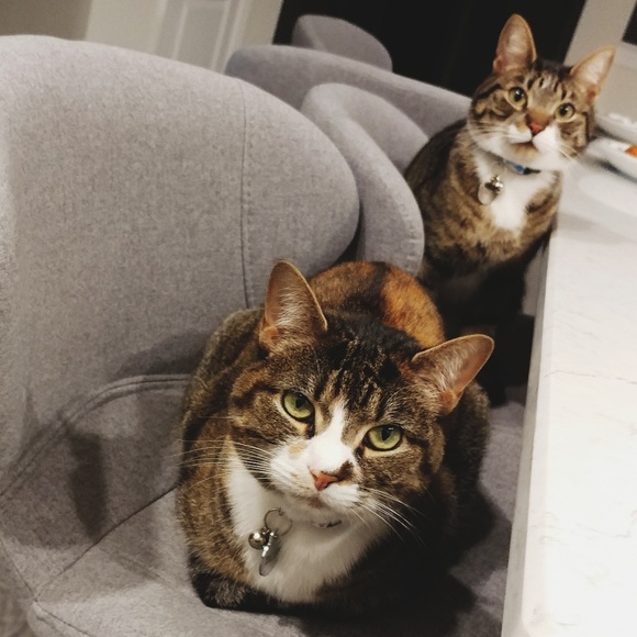 About Me (: - Picture 3 of 6